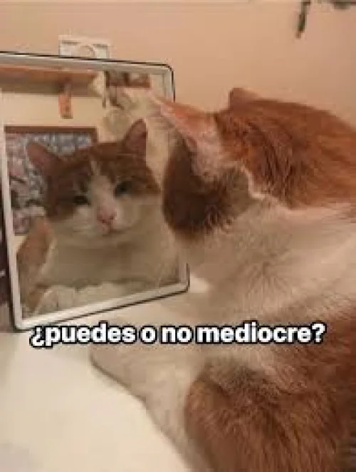 Mi sicóloga "hablate con cariño"