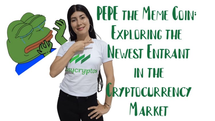 Exploring PEPE the Meme Coin: The New Entrant in the Cryptocurrency Market