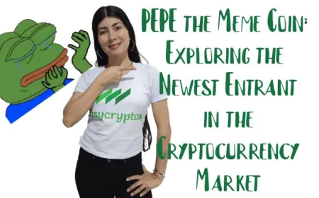 Exploring PEPE the Meme Coin: The New Entrant in the Cryptocurrency Market