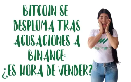 BITCOIN: Desplome a su punto más bajo en un mes tras acusaciones de lavado de dinero