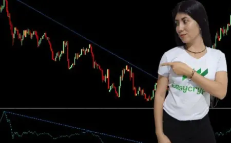 On Balance Volume (OBV): La clave del análisis técnico para identificar cambios de tendencia