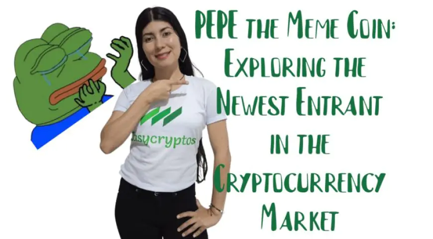 Exploring PEPE the Meme Coin: The New Entrant in the Cryptocurrency Market