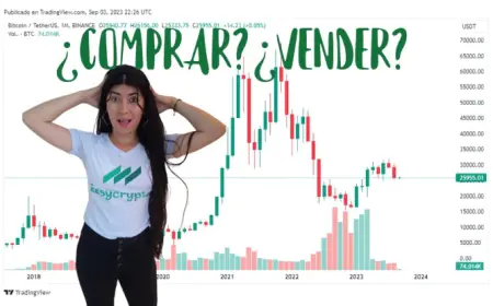 Perspectivas a largo plazo para Bitcoin: Hashdex Mantiene su Optimismo