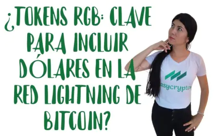 ¿Dólares en Lightning de Bitcoin? Desarrolladores hablan sobre el Futuro en Baltic Honeybadger 2023