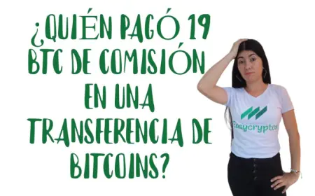 Comisión de $510,000: Un misterioso usuario paga una alta tarifa por una transferencia de 0.074 BTC