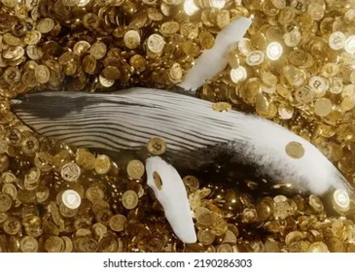 Bitcoin Whale: Defined and Explained