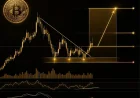 Análisis técnico premium BTC/USD: entrada, objetivo y stop loss